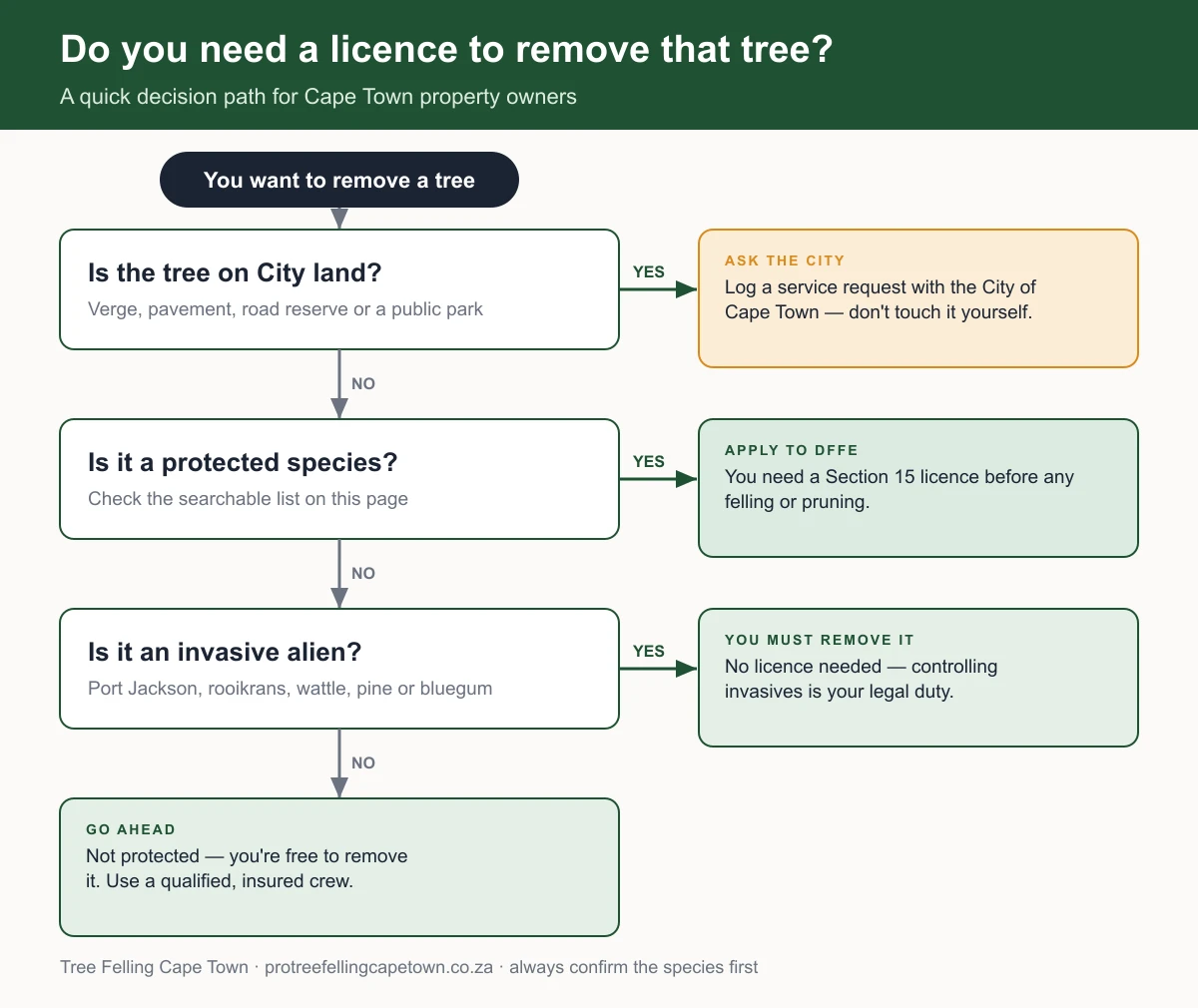 Flowchart showing how to decide if you need a licence to remove a tree in South Africa