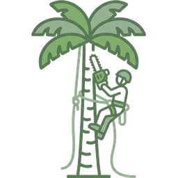 Palm Tree Removal & Cleaning icon